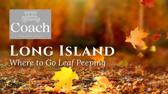 Changing Leaves - Long Island - Coach Realtors